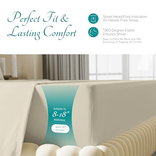 Carressa Linen Egyptian Cotton Fitted Sheet