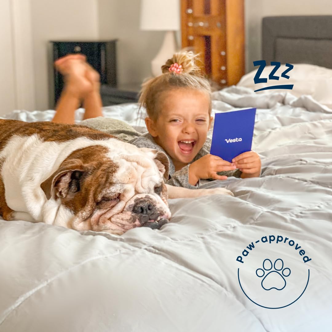 Vesta Silk Comforter Duvet Insert